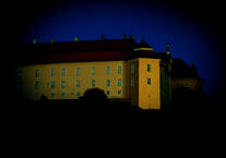 Professionelle Begleitung