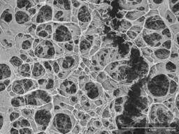 MCG aktiviert und gesputtert