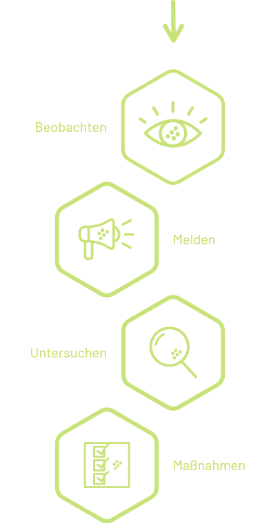 Hinweisgebersystem - Prozess