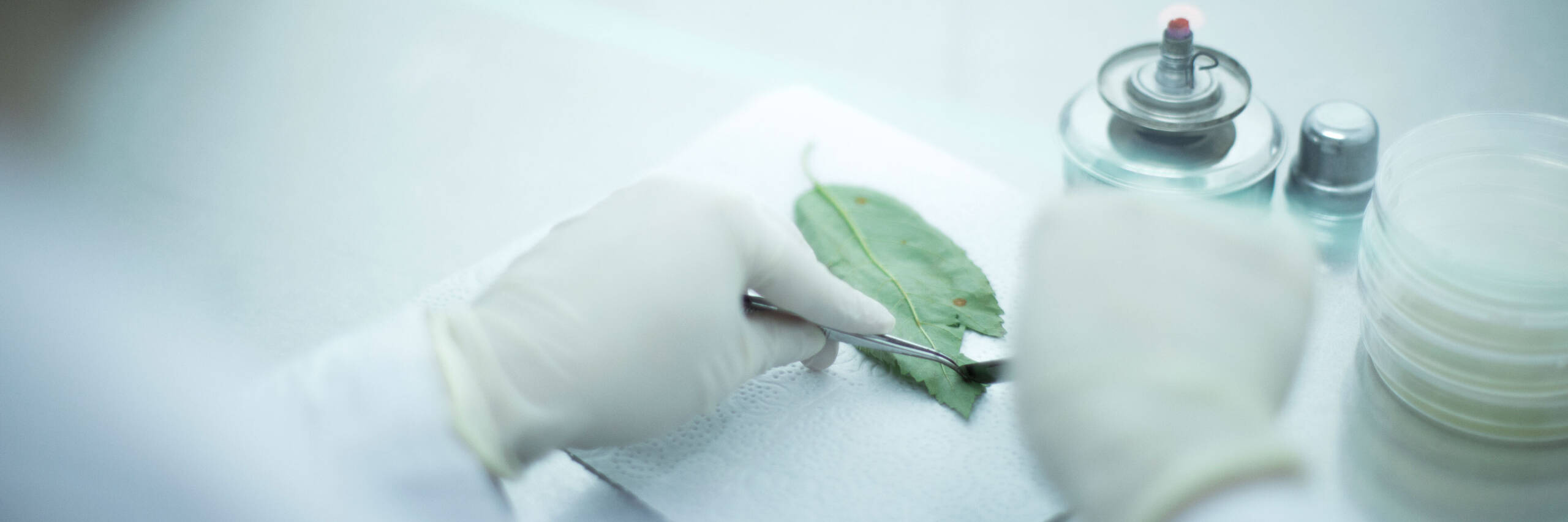 Einzigartiges Know-how