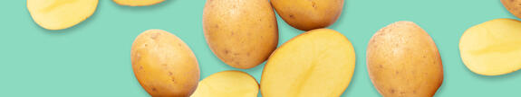 VITACEL® KF Kartoffelfaser