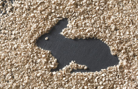 Zur Verdauungsstabilisierung und Leistungssteigerung bei Kaninchen