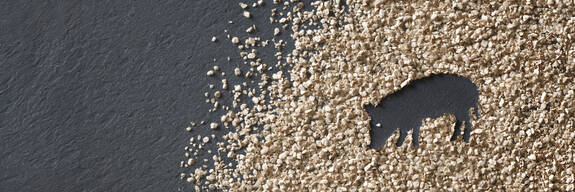 ARBOCEL® für Ferkel