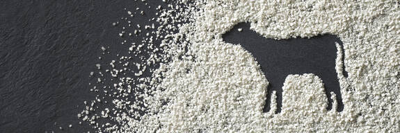 VITACEL® für Kälber