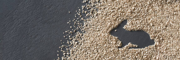 ARBOCEL® für Kaninchen