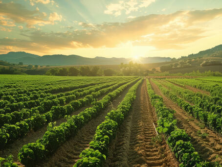 Vielseitige Nährstoffquelle für nachhaltige Erträge