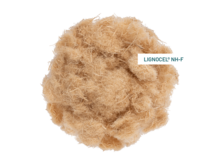 LIGNOCEL® NH-F