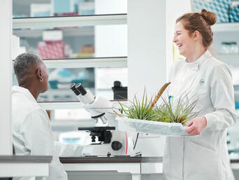 Verbesserung der Sprüheigenschaften mit JRS VIVAPUR