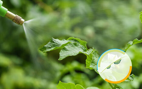 Verbesserung der Sprühbarkeit durch den Austausch von Xanthan.