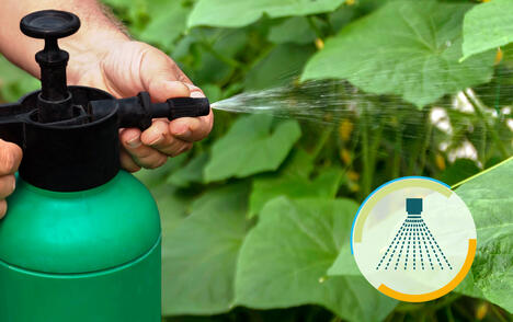 Verbesserung der Sprühfähigkeit mit JRS VIVAPUR®