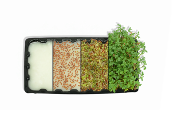 Produktionsvorteile mit ARBOCEL® FT 400