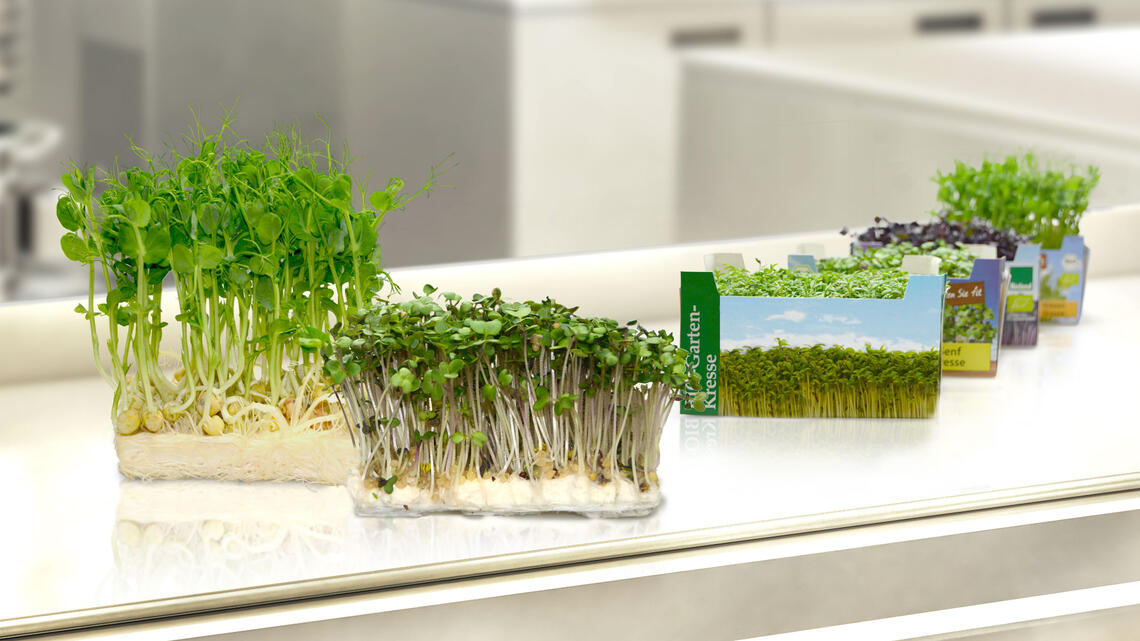 Das Ready-to-Use System für alle Arten von Microgreens