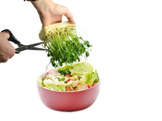 Knackig-frisch und hygienisch