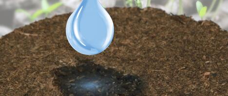 Das Ready-to-Use System für alle Arten von Microgreens