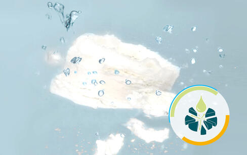 Desintegration / Zerfallshilfsmittel