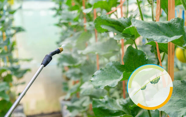 Rheologiesteuerung von Flüssigprodukten