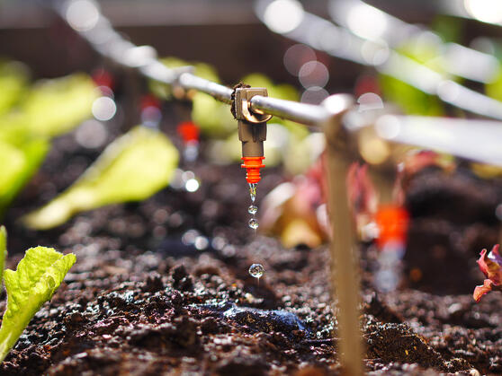 JRS Fiber-Lösungen für eine bessere Auflösung von pulverförmigen Düngemitteln.