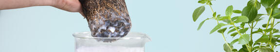 Wasserspeicher für Topfpflanzen