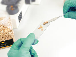 Certified Food safety