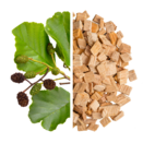 Alder