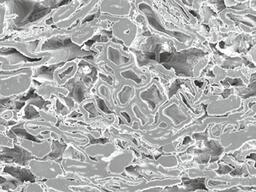 REM mit ARBOCEL® - die zusätzlichen Kanäle sind deutlich sichtbar.