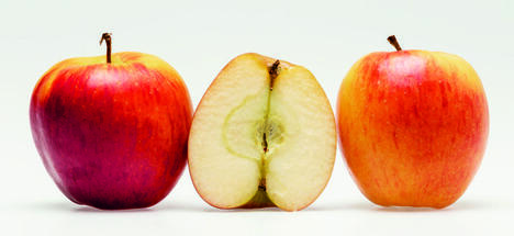 Apfelfaser
